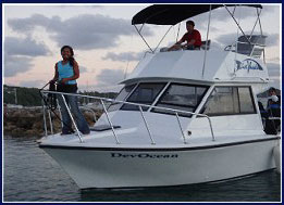 Dive Vava�u Tonga Dive Tours