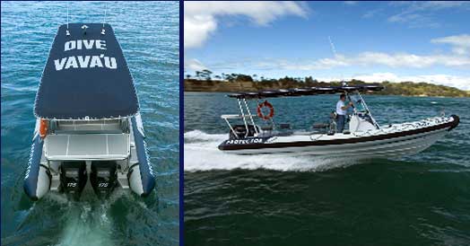 Dive Vava�u Tonga Dive Tours