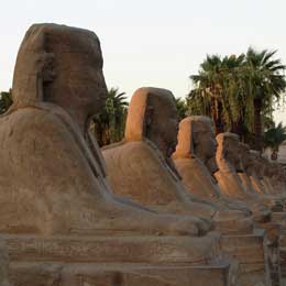 Avenue of the Sphinxes - Luxor Temple - The Best of Egypt and The Sinai - Dive Discovery Egypt