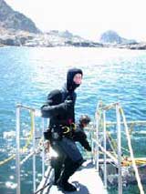 Great White Shark Cage Diving, Farallon Islands