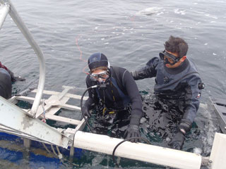 Page not found | Dive Discovery Hot News