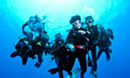 Dive Discovery Group Trips