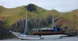Indonesia Live Aboards - MV. Citra Bidadari