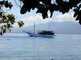 Indonesia Live Aboards - MV. Citra Bidadari