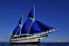 The Siren Fleet 2013 Special Offers