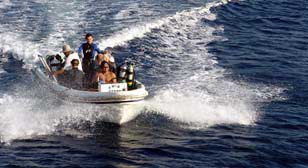 Komodo Dancer - Indonesian Liveaboards