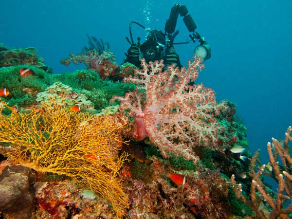 Lalati Resort - Fiji Dive Resorts - Dive Discovery Fiji Islands
