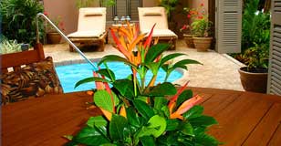 Lalati Resort - Fiji Dive Resorts - Dive Discovery Fiji Islands