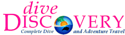 Dive Discovery