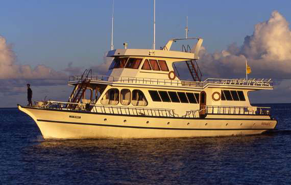 M/Y Maavahi - Maldives Live Aboards - Dive Discovery Maldives