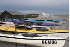 Whales watching in Magdalena Bay Mexico