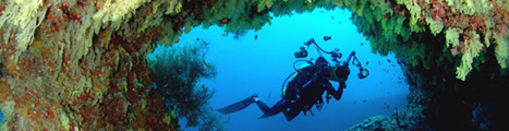 Manthiri Liveaboard - Maldives Diving