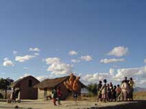 Madagascar - The Best of the Best, October 7-22 2011
