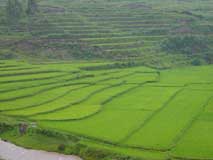 Madagascar - The Best of the Best, October 7-22 2011
