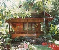 Murex Dive Resort
