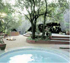 Namibia Safaris - Djuma Gave Reserve
