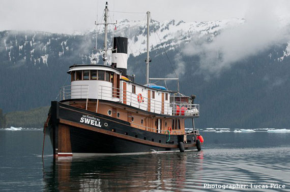 The Nautilus Swell - Alaska Small Ship Adventures - Dive Discovery