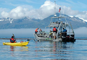 Nautilus Swell - Alaska Liveaboards - Dive Discovery Alaska