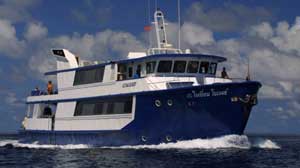 Ocean Rover liveaboard