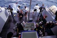 Ocena Rover Whaledeck
