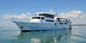 MV Yemaya - Cocos Island Liveaboards