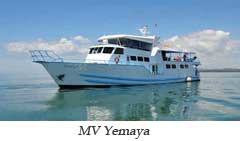 MV Yemaya - Panama Live Aboards - Dive Discovery Panama