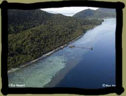 Kri Island Resort in Papua