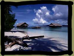 Kri Island Resort in Papua