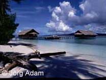 Kri Island Resort in Papua