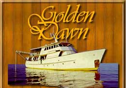 Golden Dawn - PNG Liveaboards - Dive Discovery PNG