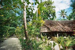 Lissenung Island Resort - PNG Dive Resorts - Dive Discovery PNG