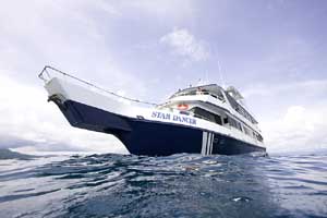 Star Dancer PNG Liveaboards