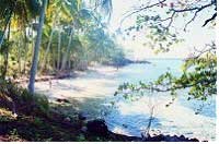Activities at Tufi Dive Resort in PNG