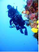 Tufi Dive Resort in PNG