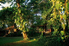 Walindi Plantation Resort