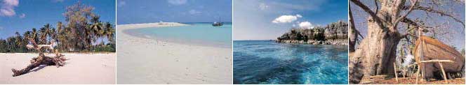 Mafia Island Diving - Tanzania Diving - Dive Discovery Africa