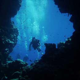 Egypt and the Red Sea - Egypt Live Aboards - Dive Discovery Egypt