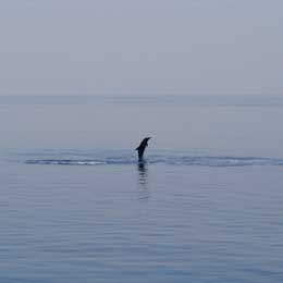 The Wonders of Cairo and the Sinai - Egypt Live Aboards - Dive Discovery Egypt