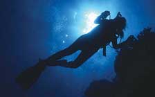 Diving the Sea of Cortez - Rocio Del Mar - Mexico Liveaboards