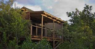 Rocktail Beach Camp - South Africa Dive Resorts - Dive Discovery South Africa