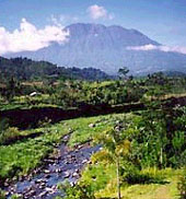 Sacred Mountain Sanctuary