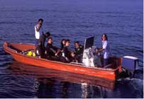 Seahorse tender boat