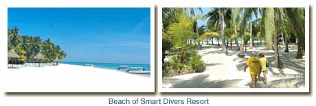 Smart Divers Resort in Malaysia