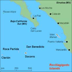 Diving Revillagigedo Archipelago