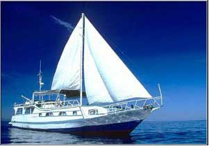 Indonesian Liveaboards