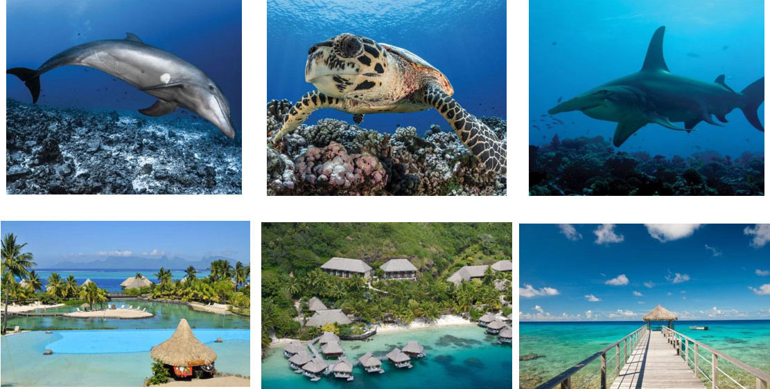Tahiti, Bora Bora, Rangiroa - Dive Package