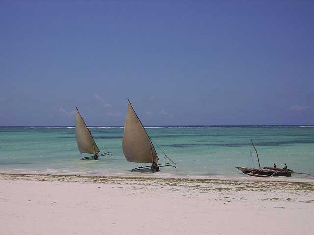 Zanzibar Diving - Tanzania Diving - Dive Discovery Africa