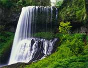 Waterfall Hike