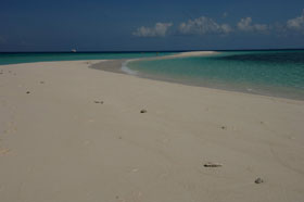 Africa Diving - Tanzania