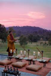 Tigger and Temples Safari in Luxury